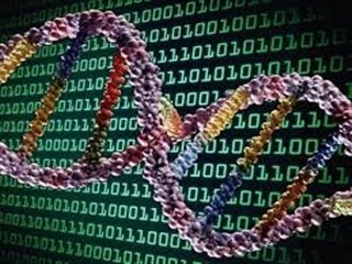 خدمات بیوانفورماتیک مرتبط با DNA