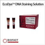 رنگ DNA برای ژل (Ecodye) برند BioFact