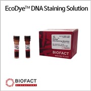 رنگ DNA برای ژل (Ecodye) برند BioFact