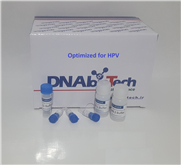 کیت 50 واکنشی استخراج DNA ژنومی اختصاصی HPV